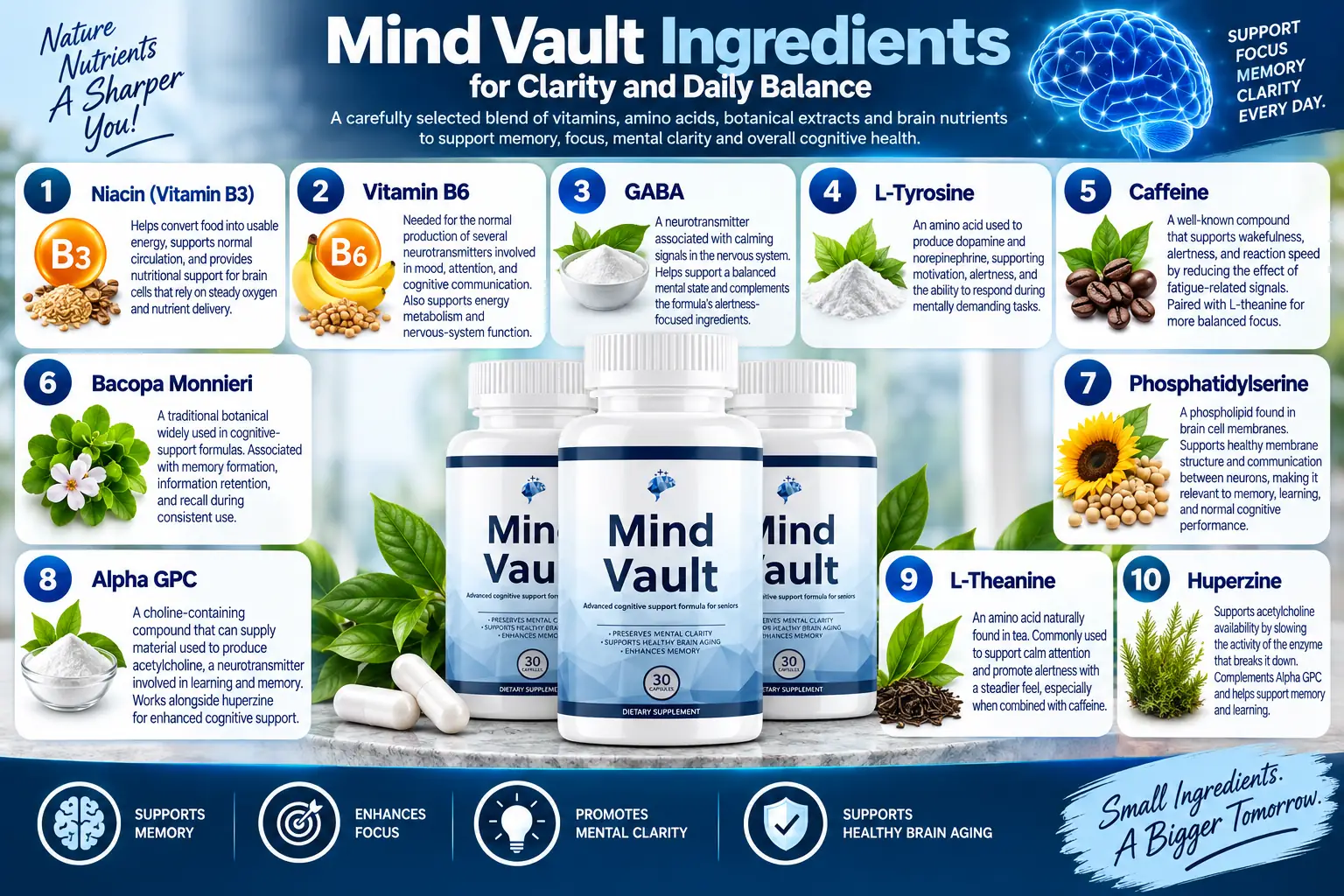 Mind Vault ingredients overview